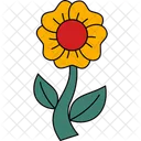 Flower  Icon