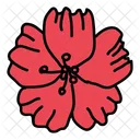 Flower  Icon