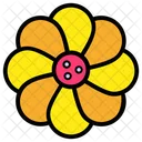 Daisy Flower Blossom Icon