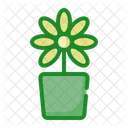 Flower  Icon