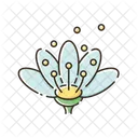 Flower  Icon