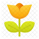 Flower  Icon