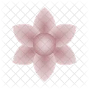 Flower  Icon