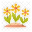 Flower  Icon