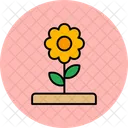 Flower  Icon