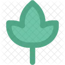 Flower  Icon