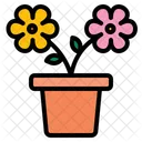 Flower  Icon