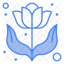 Flower  Icon