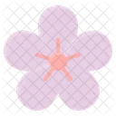 Flower  Icon