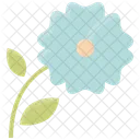 Flower  Icon