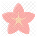 Flower  Icon