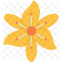 Flower Freesia Decoration Icon