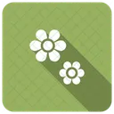 Flower  Icon