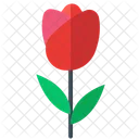 Flower Bloom  Icon