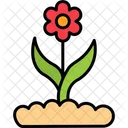 Flower Buds  Icon