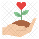 Flower Growth  Icon