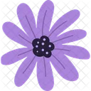 Flower  Icon