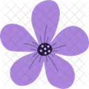 Flower  Icon