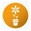 Flower pot  Icon