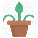 Flower Pot  Icon