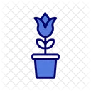 Flower Pot Flower Pot Icon