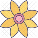 Flowers Flower Nature Symbol