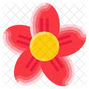 Flowers Flower Nature Symbol