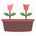 Flowers  Icon