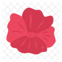 Flowers Flower Floral Symbol