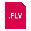 Flv File Format Icon