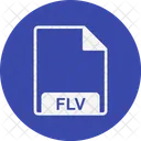 Flv file  Icon