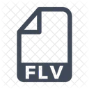 Flv File Format Icon