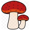 Toxic Mushrooms Fungi Mushroom Flyagaric Poisonous Icono