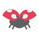 Cute Ladybug Ladybug Ladybugs Icon