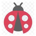 Cute Ladybug Ladybug Ladybugs Icon