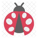 Cute Ladybug Ladybug Ladybugs Icon