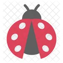 Cute Ladybug Ladybug Ladybugs Icon