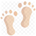 Footprint  Icon