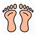 Paw Animal Foot Icon