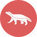 Forelimbs Shrew Moles Desmans Icon