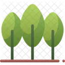 Nature Forest Tree Icon