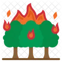 Forest Fire  Icon