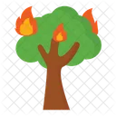 Forest fire  Icon