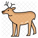 Forest Herbivores Antler Growth Deer Species Diversity Icon