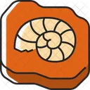 Fossil Prehistoric Ancient Icon