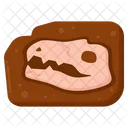 Fossil Icon