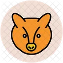 Fox Coyote Animal Icon