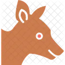 Fox Coyote Animal Icon