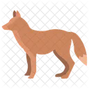 Fox  Icon