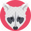 Fox Coyote Animal Icon